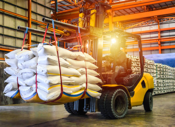 Warehouse Team at Work